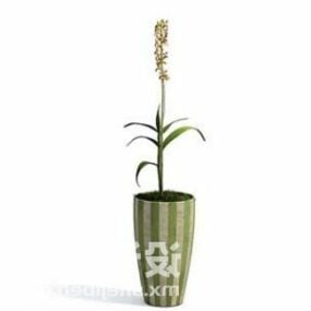 Indoor Plant Tree Decoration With Flower 3d model