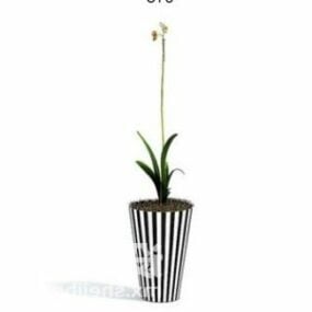 Indendørs gul orkidé plante trædekoration 3d-model