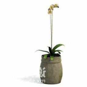 Flower Orchid Indoor Plant Tree Decoration 3d model