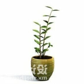 Small Leaf Indoor Plant Tree Decoration 3d model