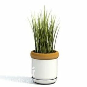 Indoor Grass Potted Plant Decorating 3d model