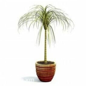 3д модель комнатного растения в горшке с пальмой