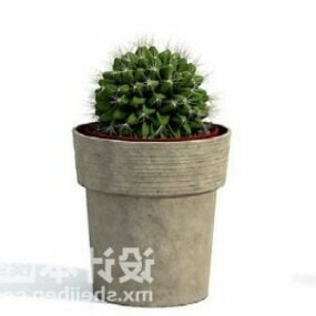 Kaktuksen ruukkukasvien koristelu 3d-malli