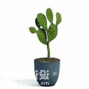Cactus de interior en planta en maceta modelo 3d