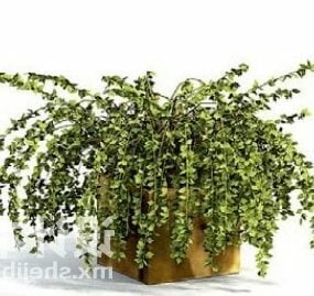 Decorazione di piante in vaso di vite per interni modello 3d