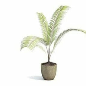 Kapalı Küçük Palmiye Saksı Bitki Dekorasyonu 3d modeli