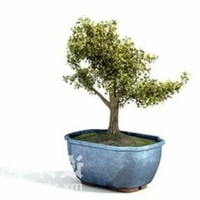 Kapalı Küçük Ağaç Saksı Bitki Dekorasyonu 3d modeli