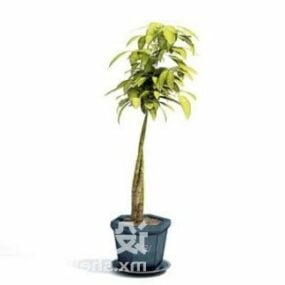 Office Indoor Potted Plant Decorating 3d model