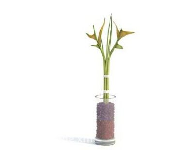 Tableware Potted Plant Decorating