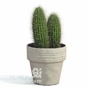Indoor Cactus Potplant Decoreren 3D-model