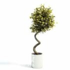 Indoor Bonsai Potted Plant Decorating