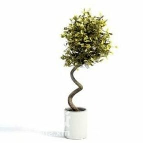Modelo 3D de decoração de plantas em vasos de bonsai interno