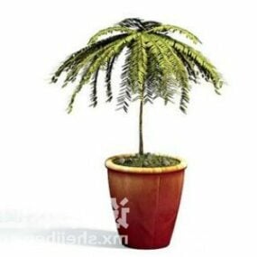 Indoor Tropical Potted Plant 3d model
