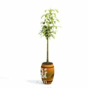 Potted Plant Decorating 3d model