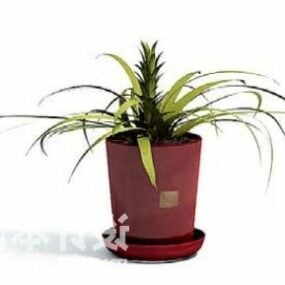 Indoor Terracotta Potted Plant Decorating 3d model