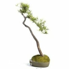 Modelo 3D de estilo bonsai de planta em vaso interno