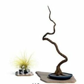 Plante bonsaï japonaise minimaliste modèle 3D