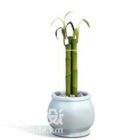 Japanese Bamboo Potted Plant