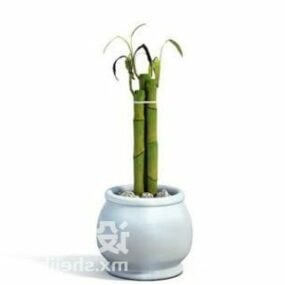 Japanese Bamboo Potted Plant 3d model