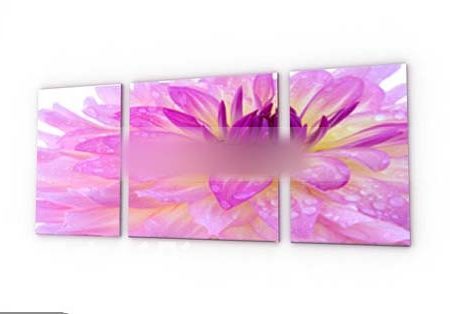 Pink Flower Wall Painting Free 3d Model - .Max - Open3dModel