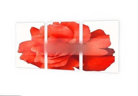 Red Flower Picture Wall Mount Free 3d Model - .Max - Open3dModel