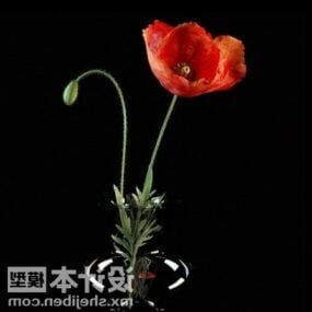 Fleur de tulipe rouge dans un vase en verre modèle 3D
