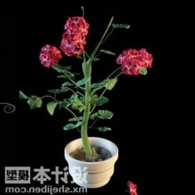 Fleur rose en pot blanc modèle 3D