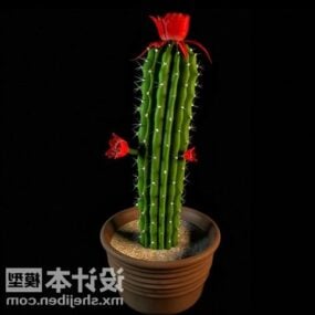 Planta en maceta con flor de cactus modelo 3d