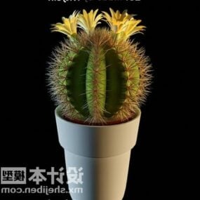 Sphere Cactus Potteplante 3d-modell