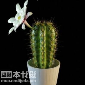 Arbre de cactus de plante en pot d'intérieur modèle 3D