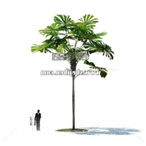 3d модель вуличної рослини пальми