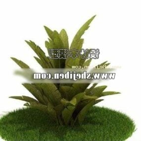 低棕榈树3d模型