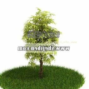 Modello 3d realistico per piccolo albero all'aperto