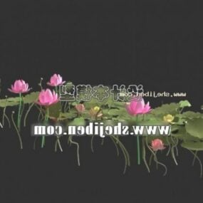 Lotus Flower Plant 3d-modell