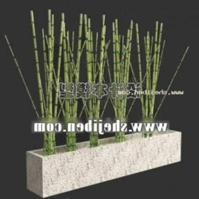 Bamboo Plant With Rectangular Vase 3d model