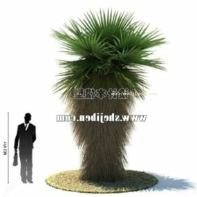 Lähi-idän palmu 3d-malli