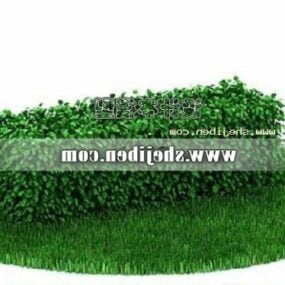 Outdoor Hedge 3d model