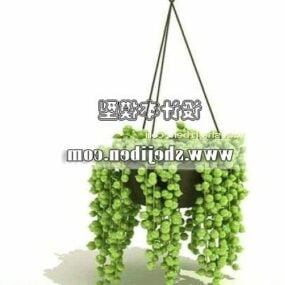 Grape Plant Tree 3d model
