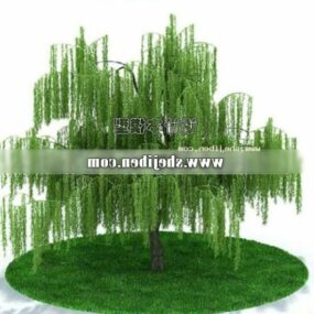 Grote wilgenboom 3D-model