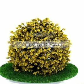 Outdoor Yellow Hedge Plant 3d model