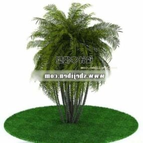 3D model venkovní malé palmy