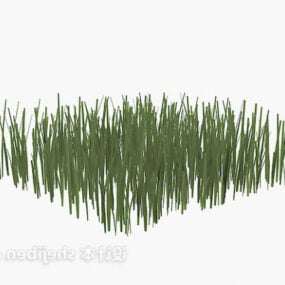 Detailed Grass Plant 3d model