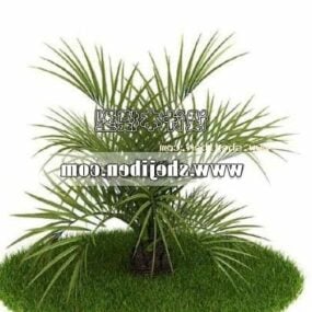 Venkovní 3D model malé palmy