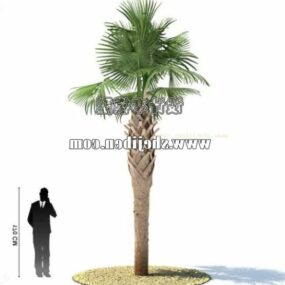 Ulkona Lähi-idän palmu 3d-malli