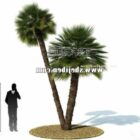 Realistic Asia Palm Tree