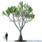 Sabal Palm Tree V1