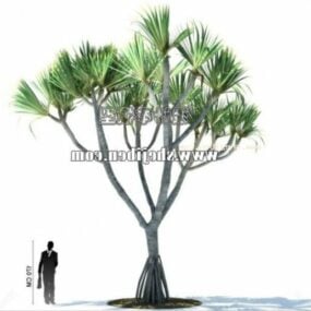 Sabal Palmiye Ağacı V1 3d modeli