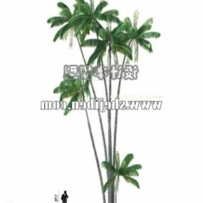Modelo 3d de árvores tropicais do grupo de coco