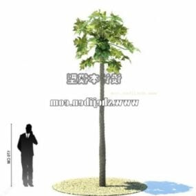 美しい漫画の木の3Dモデル