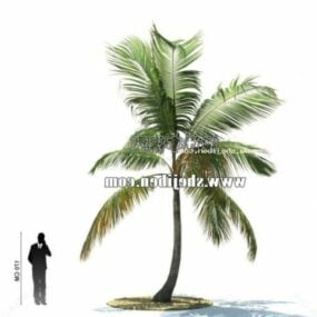 Model 3D dzikiego drzewa kokosowego